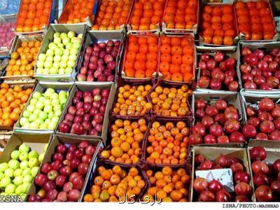 پیدا كنید پرتقال فروش را چه كسی پاسخگوی فاسد شدن چندین هزارتن میوه است؟