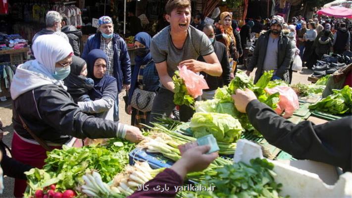 عربستان ممنوعیت واردات میوه و سبزیجات از لبنان را كنسل كرد