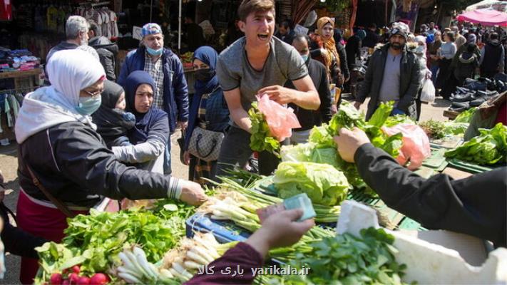 عربستان ممنوعیت واردات میوه و سبزیجات از لبنان را كنسل كرد
