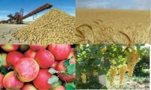 از تضمین خرید محصولات كشاورزی به قیمت روز تا توزیع سبد غذایی