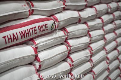 کندی ثبت سفارش واردات برنج