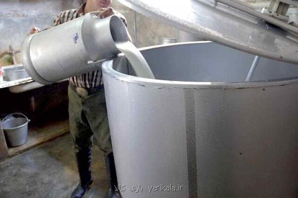 آمادگی برای خرید روزانه ۳۰۰۰ تن شیر مازاد دامداران