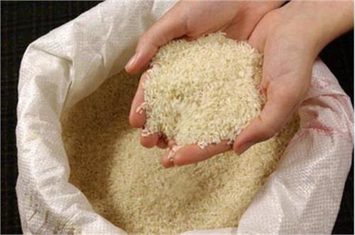 جلوی واردات برنج را بگیرید