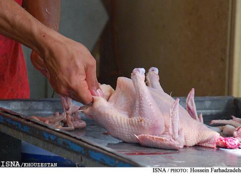 کاهش 13 هزار تومانی قیمت مرغ کشتار روز در خوزستان