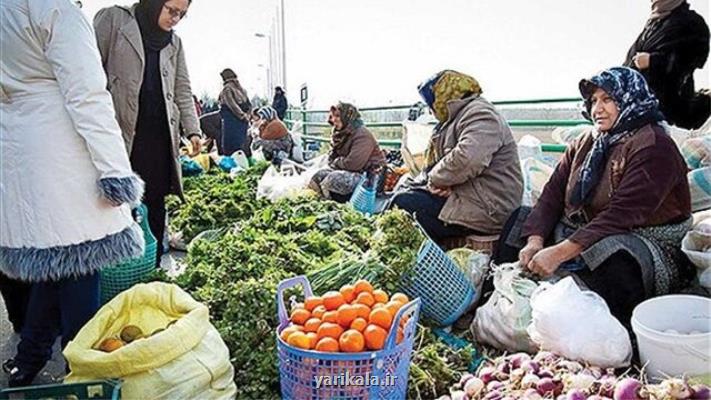 ایجاد روستا بازار در شهرستان خرم آباد تا پایان سال جاری