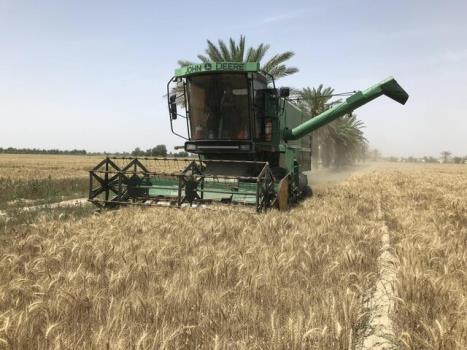 خوزستان تأمین کننده گندم ۱۲ میلیون نفر در کشور است