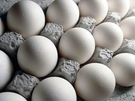 تخم مرغ دو زرده چگونه تولید می شود؟