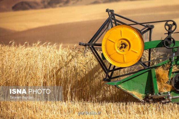 پرداخت قسمتی از مطالبات گندمکاران