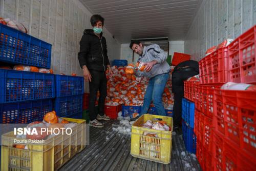 توزیع روزانه ۳۲۰ تن مرغ در مازندران