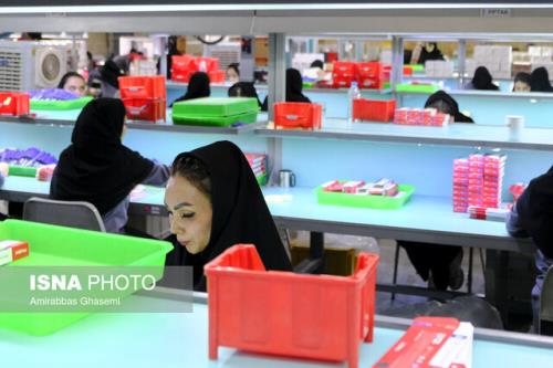 انعقاد ۵ تفاهمنامه برای ایجاد مشاغل پایدار برای خانواده ها