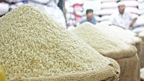 پیش بینی تولید برنج در سالجاری