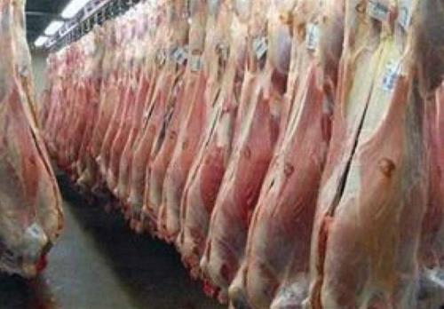 عرضه گوشت قرمز داخلی 28 درصد افزایش پیدا کرد
