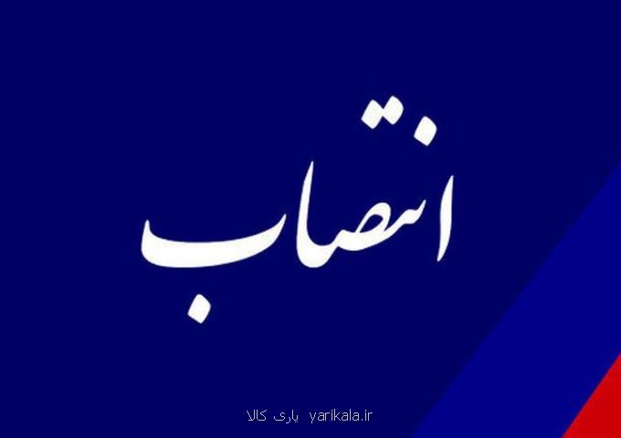 دبیر شورایعالی آموزش و تربیت فنی، حرفه ای و مهارتی انتخاب شد