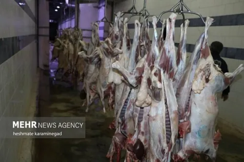 اخطار نسبت به بازار گوشت قرمز سال آینده
