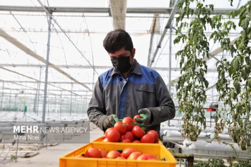 رشد 500 درصدی تولیدات کشاورزی ایران در چهار دهه گذشته