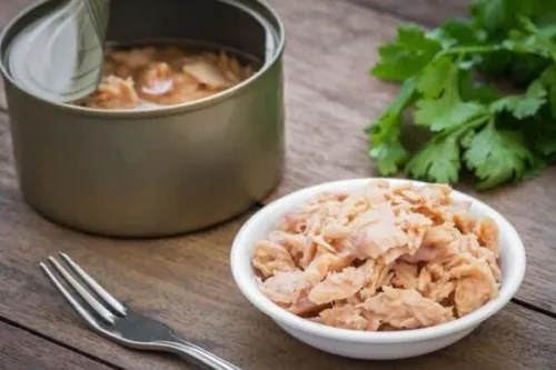شروع ثبت سفارش واردات ماهی تون از ۳۱ تیرماه