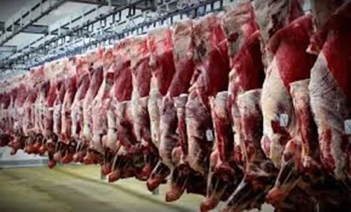 واردات گوشت از برزیل کنترل و پایش می شود