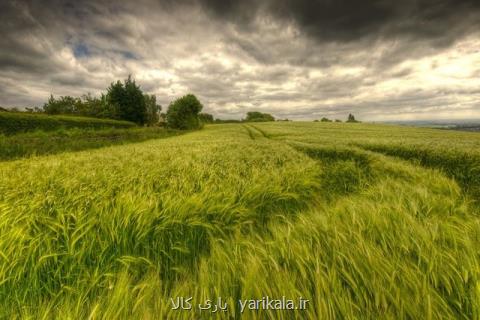 سفارش های زمستانی هواشناسی كشاورزی