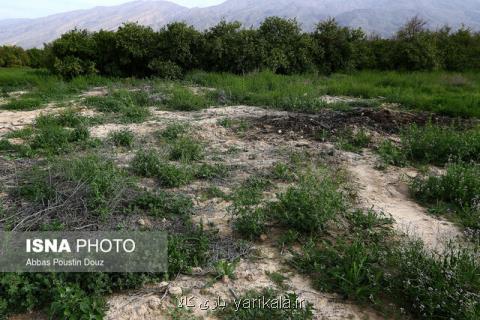 ریشه كن كردن و حذف گیاهان بومی ممنوع گردید