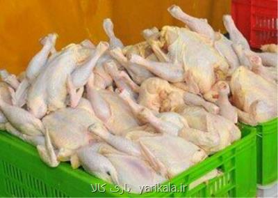 حداكثر قیمت مرغ 12 هزار و 900 تومان تعیین شد
