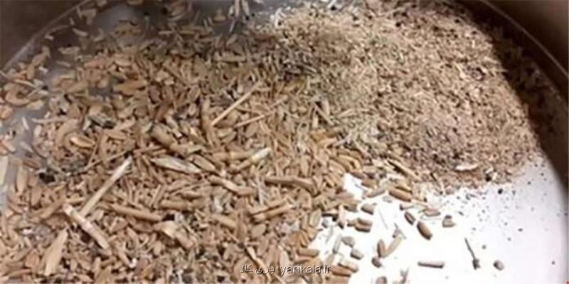 استناد وزارت كشاورزی به توری غیراستاندارد برای تكذیب فساد 1000 میلیاردی