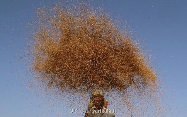 گرانی جهانی مواد غذایی ركورد زد