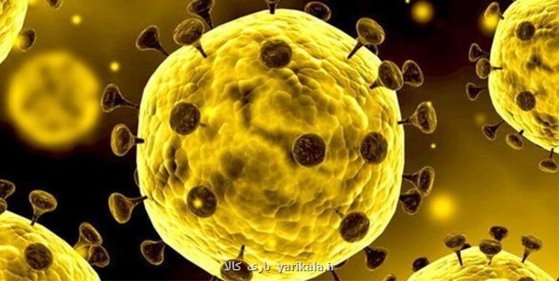 شهردار منطقه 13 به كرونا مبتلا شده؟