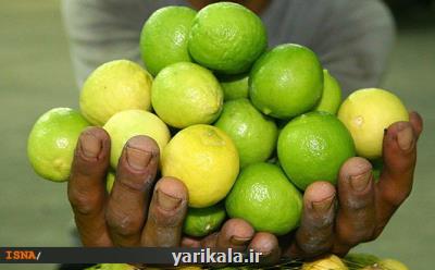 بازار لیموترش و لیموشیرین آرام می گیرد؟