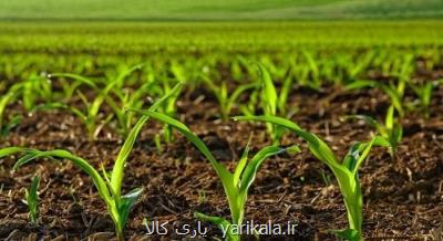 افزایش ۲۰۰ تا ۳۰۰ درصد قیمت نهاده های كشاورزی