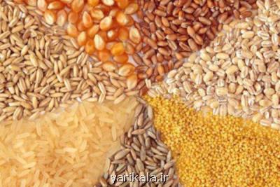 تامین نهاده مورد نیاز واحدهای تولیدی تا آبان ماه