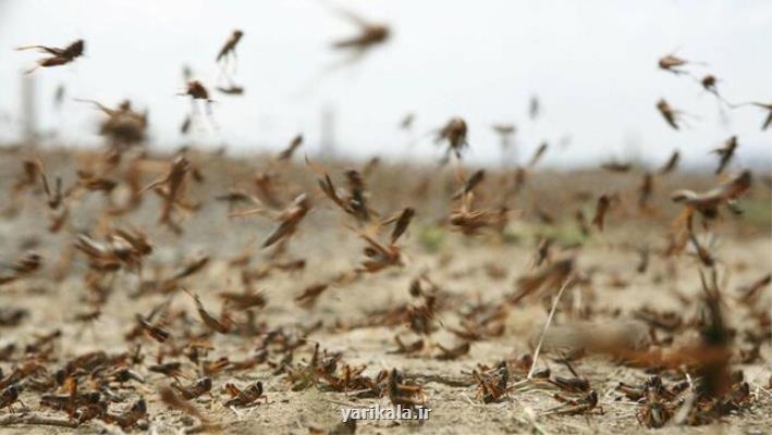 بهره برداری از فاز اول كارخانه نوآوری یزد در روزهای دهه فجر