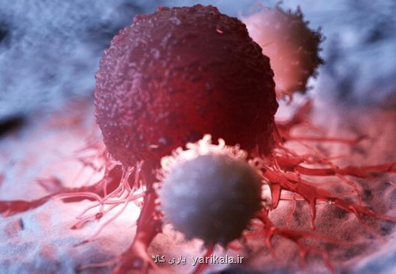 متد جدیدی برای درمان سرطان با كمك سلول های تی