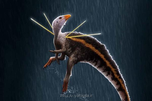 كشف فسیل گونه جدیدی از دایناسور مشهور به ارباب نیزه